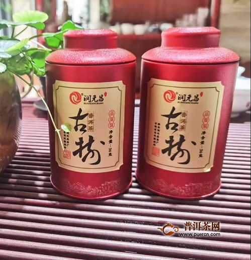润元昌十年陈韵品鉴会 收藏的普洱茶存放10年会变成什么样 身入其境,方知其味