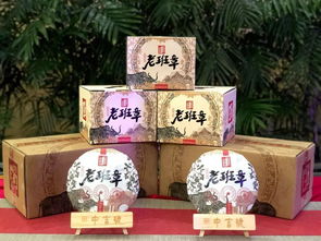 共赢发展 中吉号茶业与昌兴存茶达成战略合作