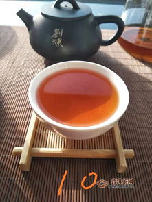 润元昌2019己亥熟茶品饮报告