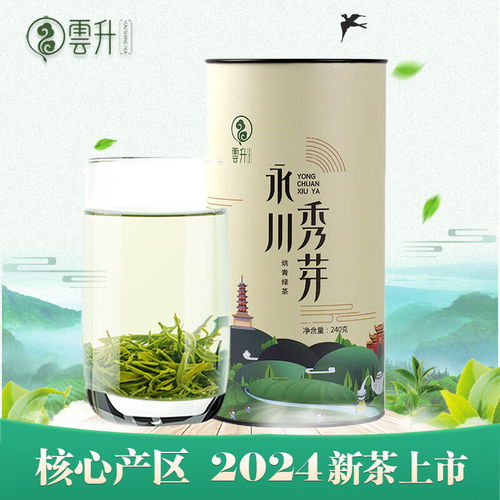 贡牌2024新茶明前特级龙井茶叶250g纸包春茶高山绿茶