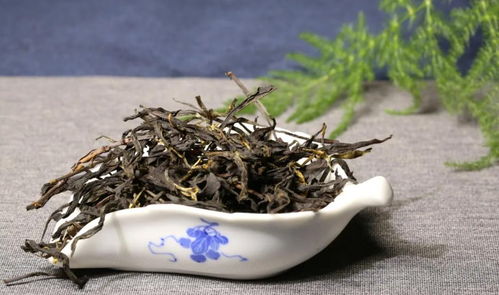 详解野生茶和野放茶的区别和联系