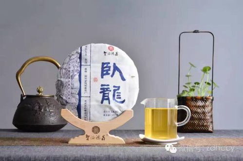 凤鸣 卧龙 惊艳古都长安 智德鸿昌茶业新品跨年品鉴会