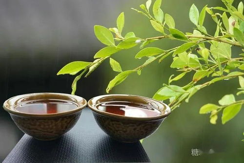 江城这方的茶,我是如暗恋般地喜欢,你呢