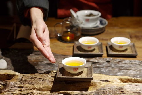 智汇芽协助福元昌普洱茶运营抖音账号,确定合作关系