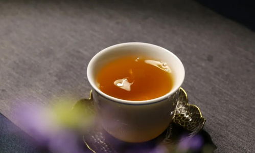 详解野生茶和野放茶的区别和联系
