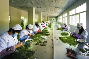 打造 追赶超越 绿色崛起 的红色引擎