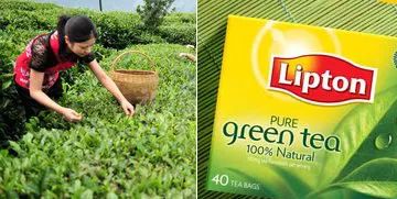 中国茶叶产业集群品牌联盟问世 能为行业带来什么