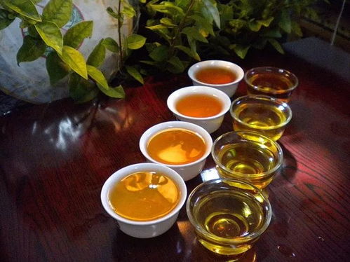 陕西推广地域特色产业 86个地标产品成脱贫富民 金招牌