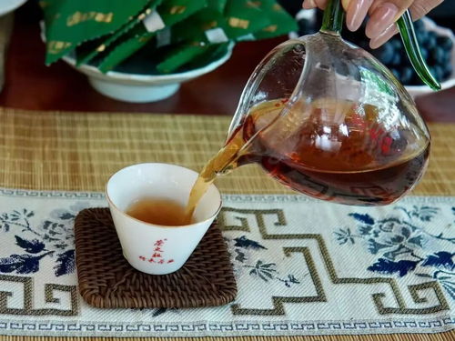不歇茶室 365天在线 无界茶生活 开启品茗新体验
