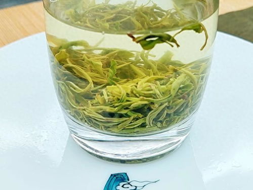 2023绿茶联赛，江西队出战之狗牯脑茶登场