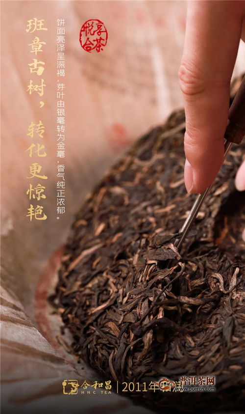 品味经典的岁月留芳——合和昌茶业与昌联茶叶的传承与创新