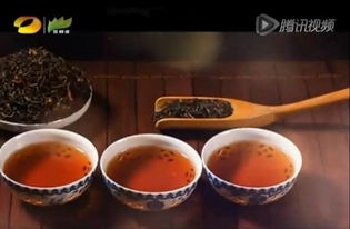 润元昌柑普茶 湖南广电茶频道倾情推荐，品味地道茶香